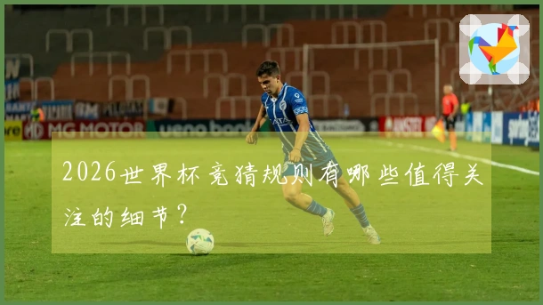 2026世界杯竞猜规则有哪些值得关注的细节？