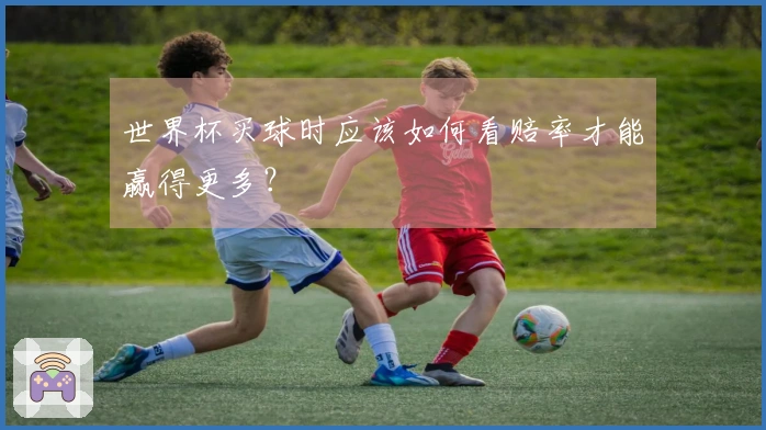 世界杯买球时应该如何看赔率才能赢得更多？