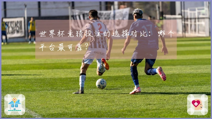 世界杯竞猜投注的选择对比：哪个平台最可靠？