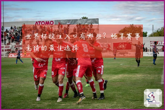 世界杯投注入口有哪些？畅享赛事竞猜的最佳选择