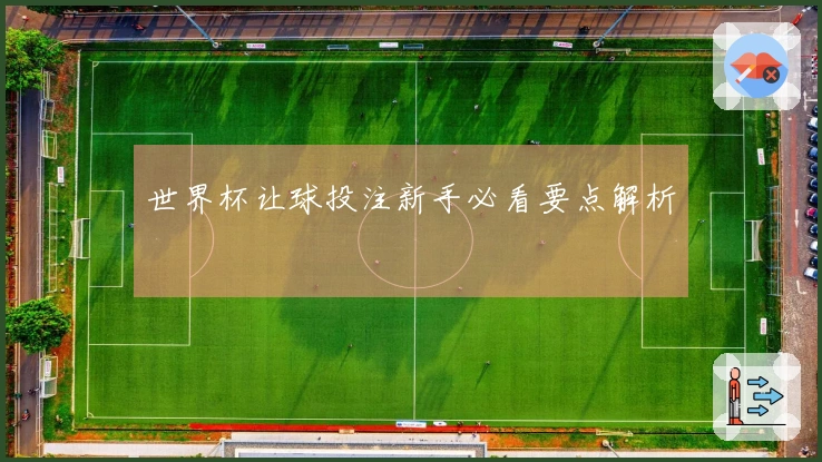 世界杯让球投注新手必看要点解析