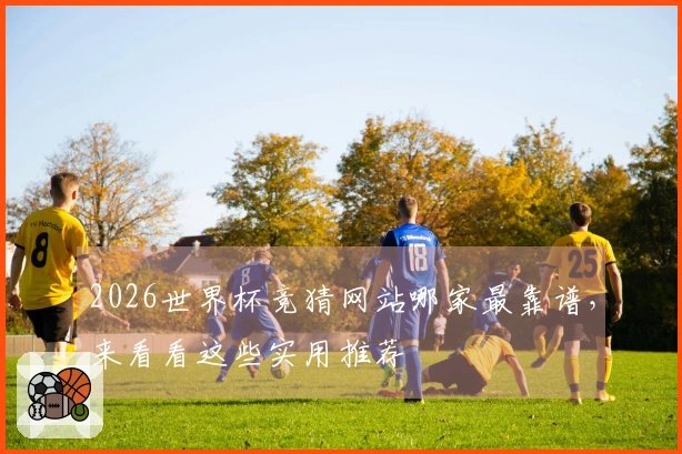 2026世界杯竞猜网站哪家最靠谱，来看看这些实用推荐