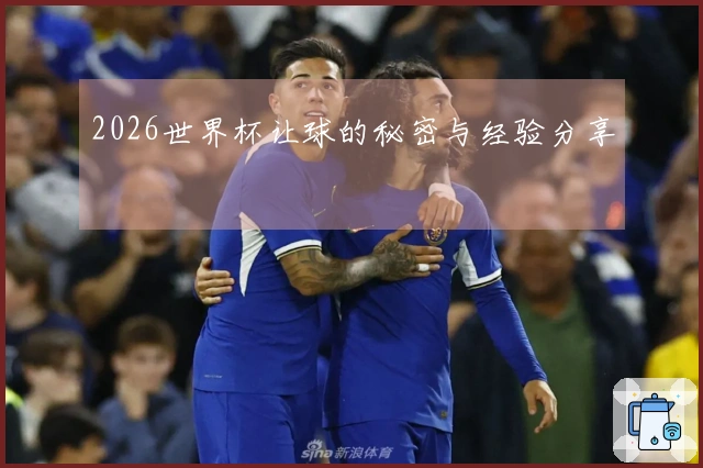 2026世界杯让球的秘密与经验分享