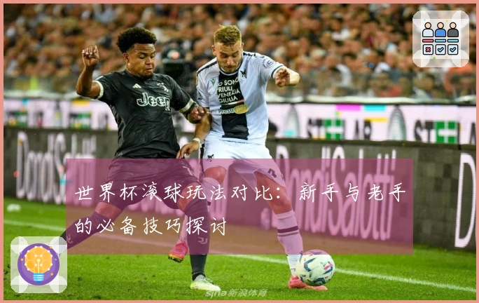 世界杯滚球玩法对比：新手与老手的必备技巧探讨