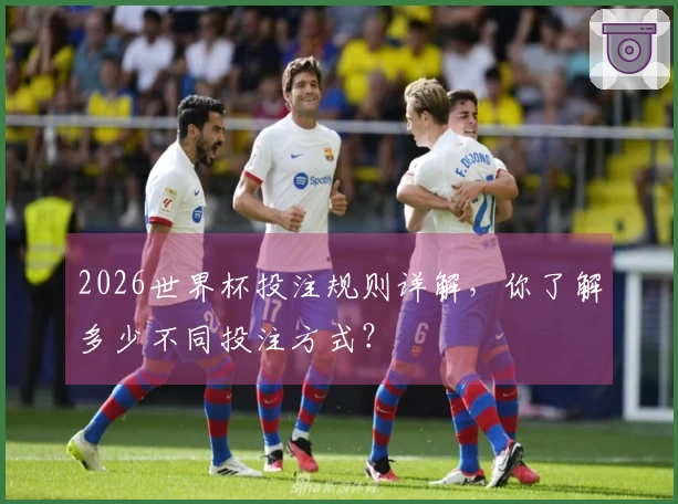 2026世界杯投注规则详解，你了解多少不同投注方式？