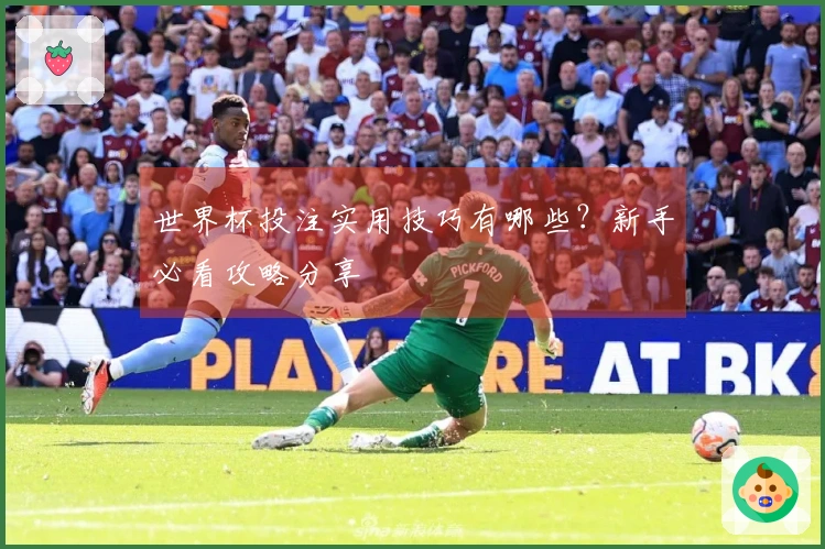 世界杯投注实用技巧有哪些？新手必看攻略分享