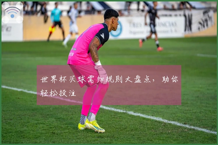 世界杯买球需知规则大盘点，助你轻松投注